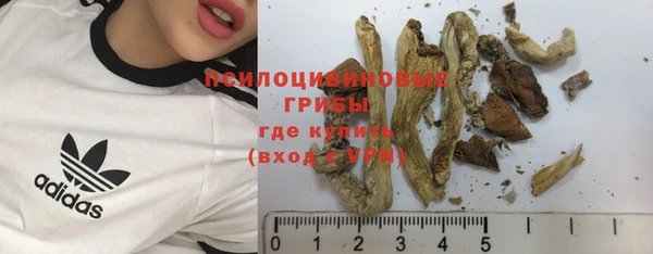 мдма Инта