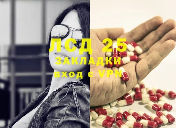 шишки Каменка