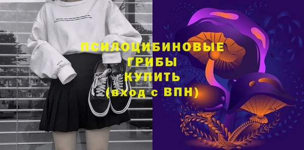 мдма Инта