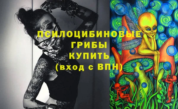 ALPHA-PVP Инсар