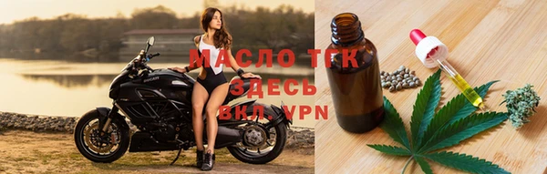 шишки Каменка
