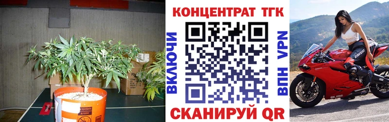 ТГК THC oil  Купить закладки  Городовиковск 