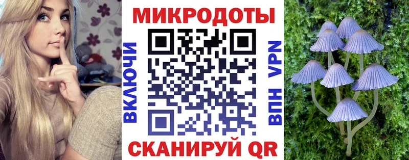 Купить  Городовиковск  Псилоцибиновые грибы Magic Shrooms 