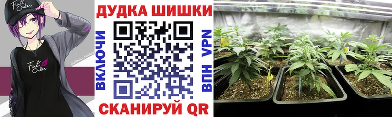 Купить закладки  Городовиковск  Бошки Шишки LSD WEED 
